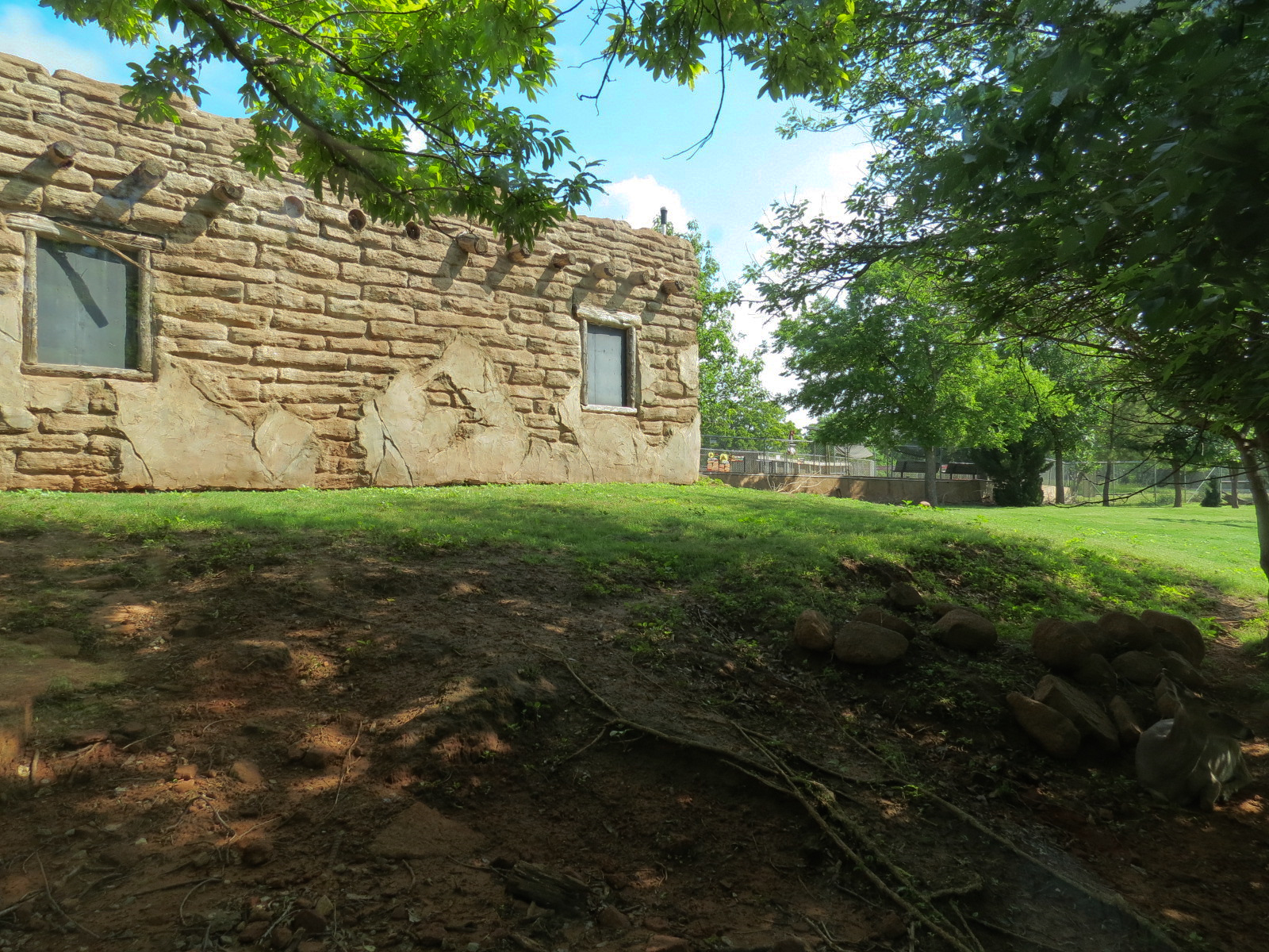 Oklahoma Trails - White-tailed Deer and Trumpeter Swan Exhibit