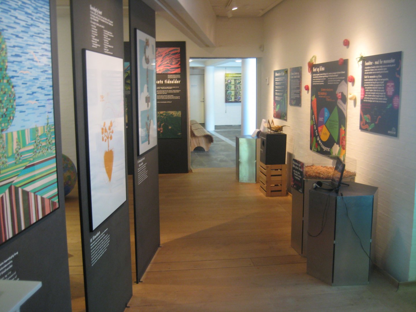 Økolariet - Insect exhibition