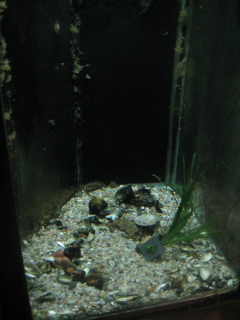 Økolariet - Invertebrate tank in the fjord exhibition
