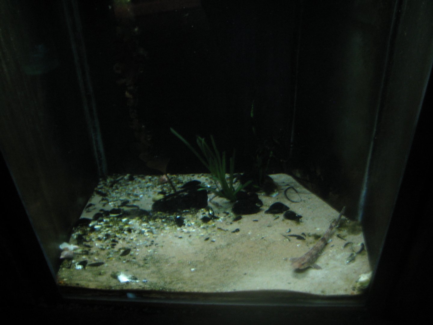 Økolariet - Small fish tank in the fjord exhibition