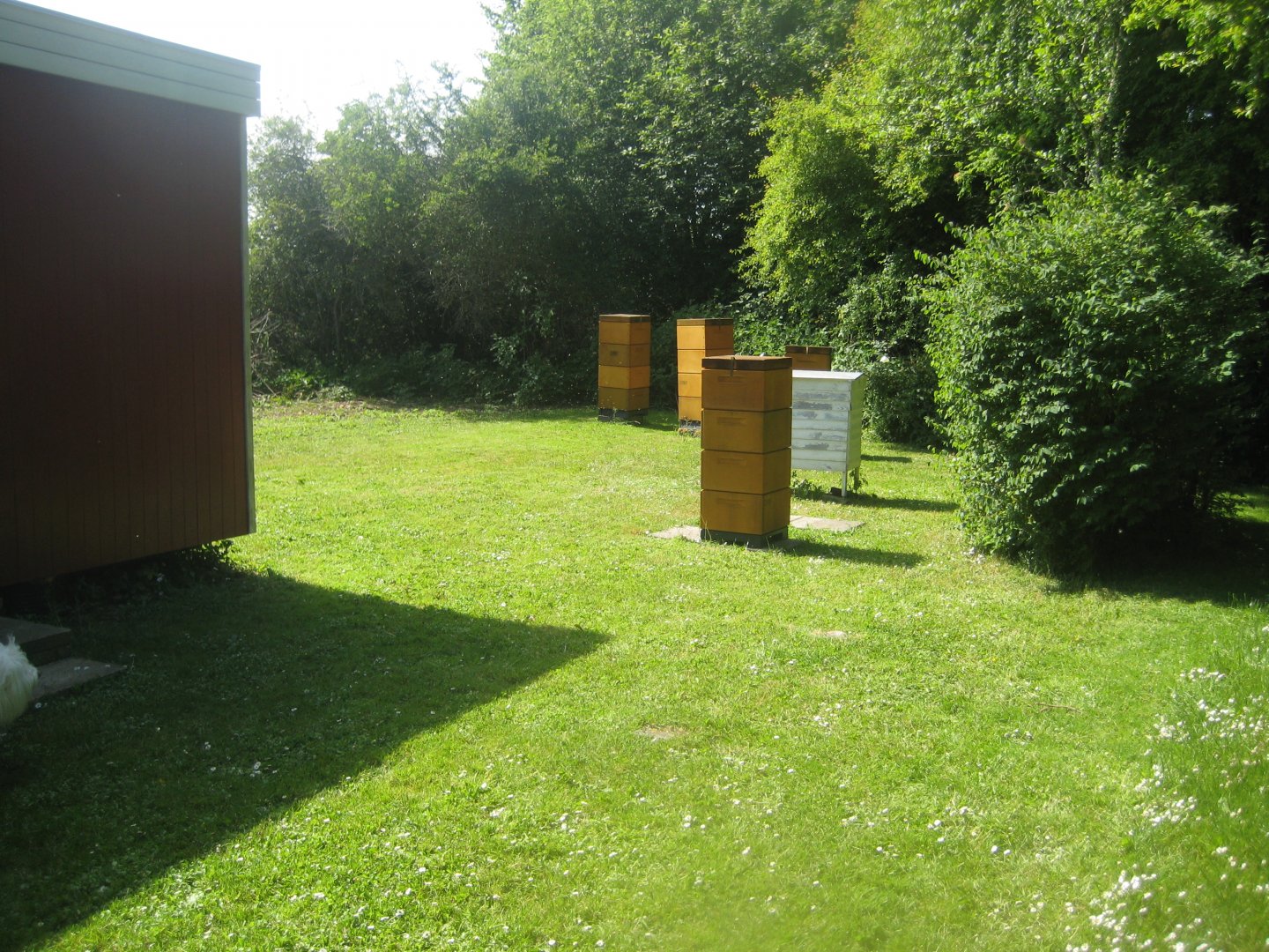 Økologiens Have - Apiary