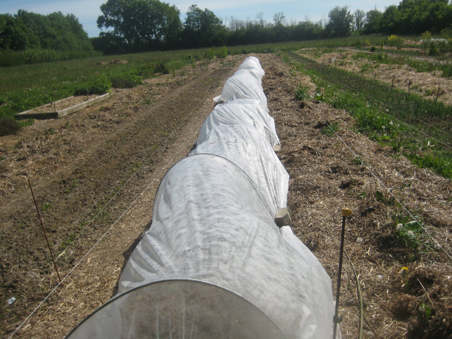 Økologiens Have - Community garden