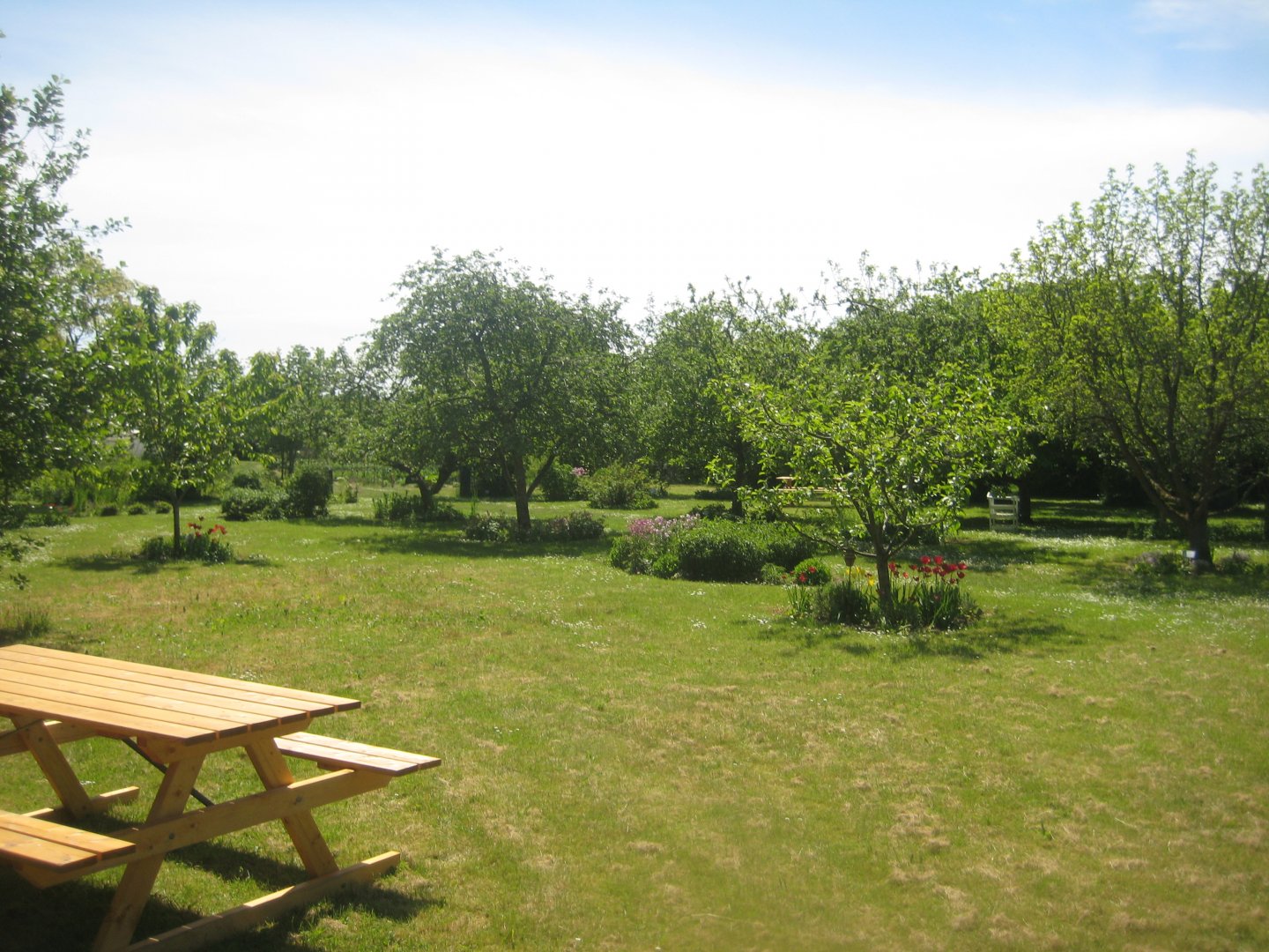 Økologiens Have - Fruit orchard