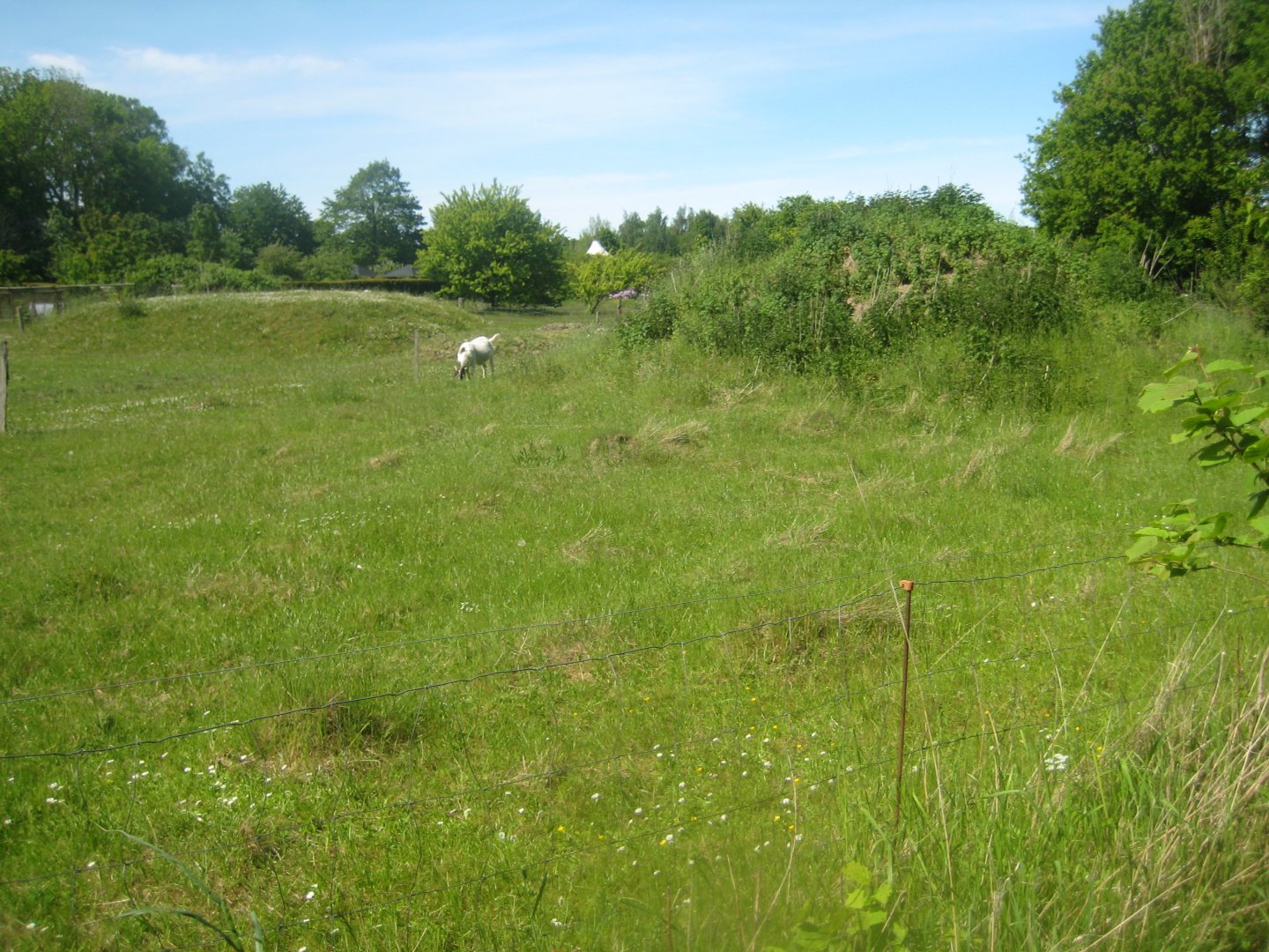 Økologiens Have - Goat exhibit