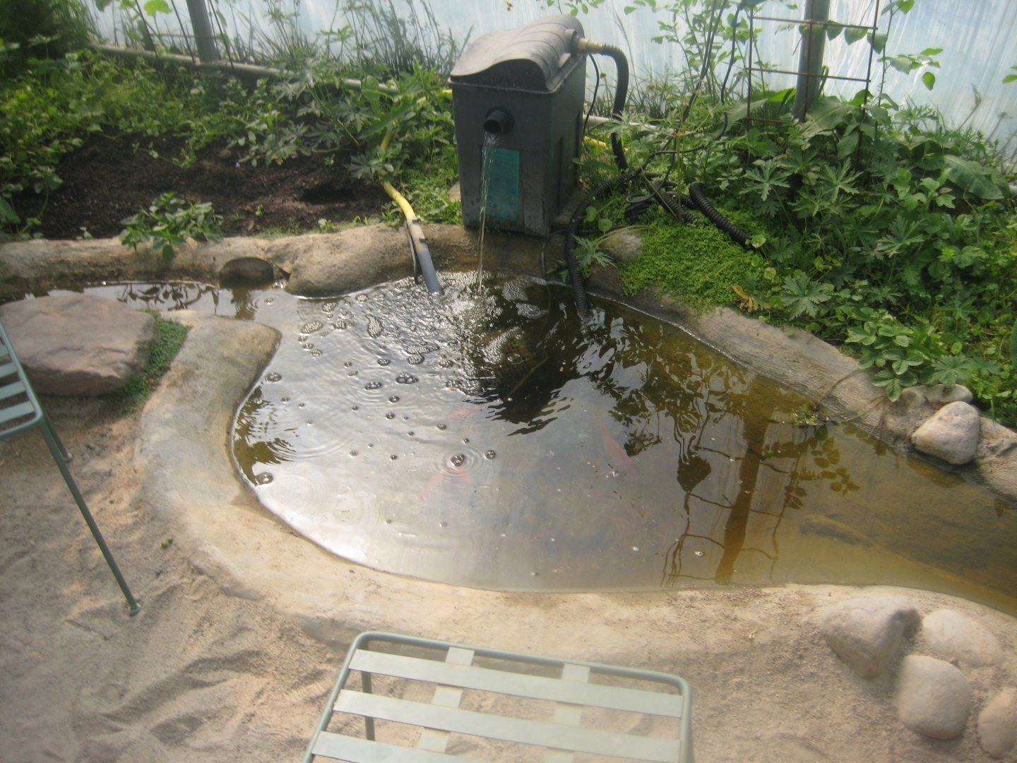 Økologiens Have - Greenhouse - Goldfish pond