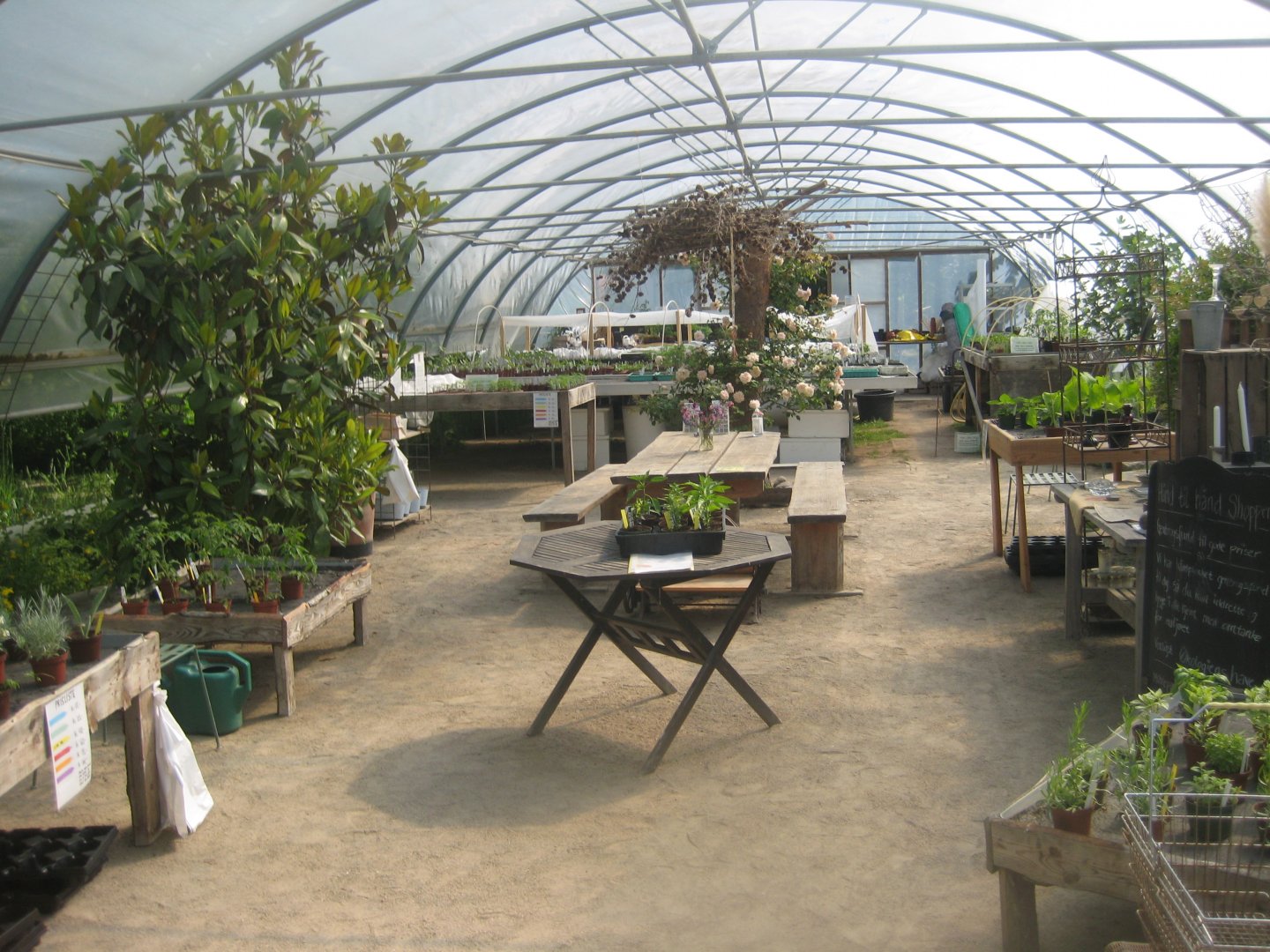 Økologiens Have - Greenhouse