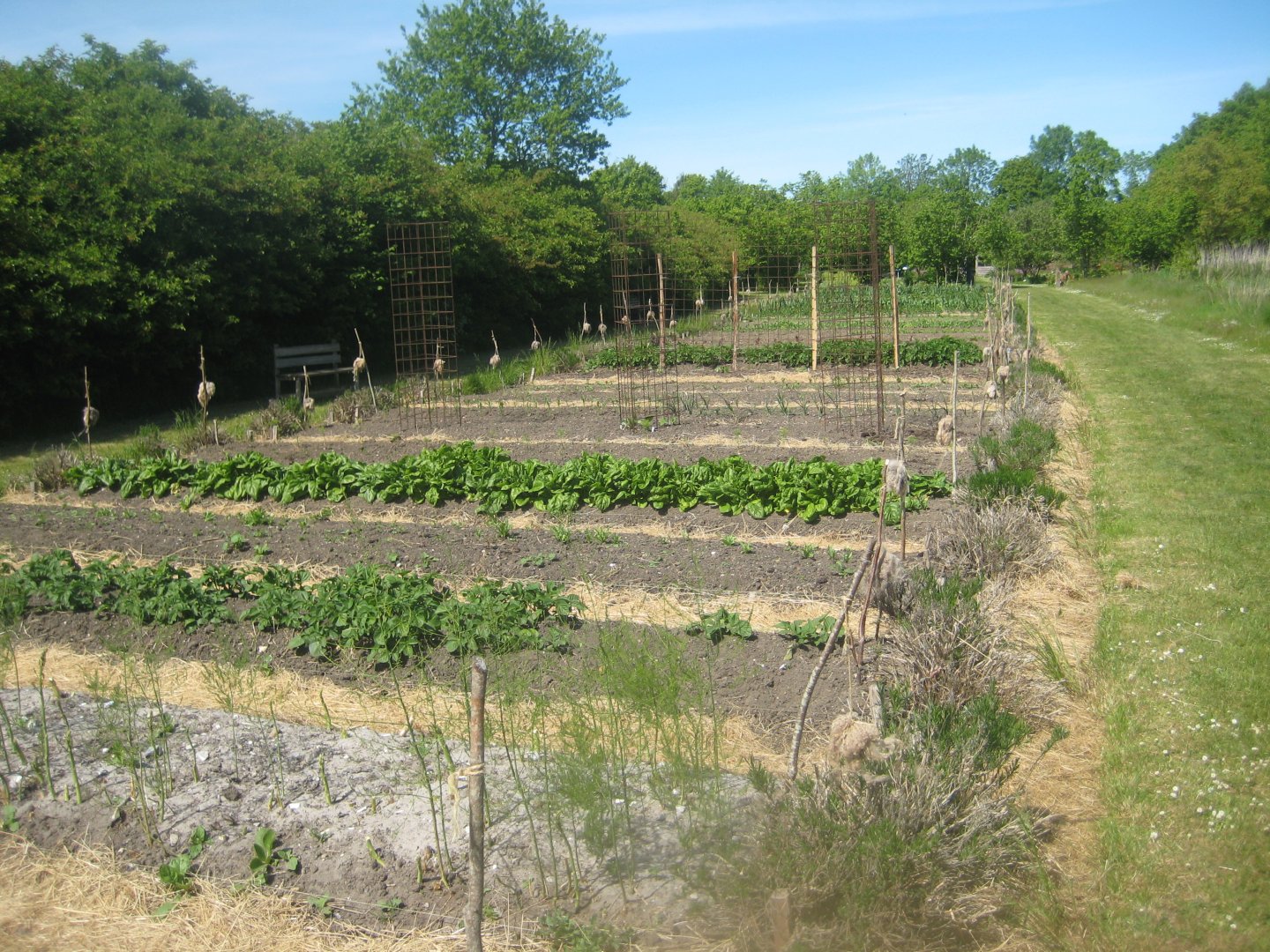 Økologiens Have - Kitchen garden