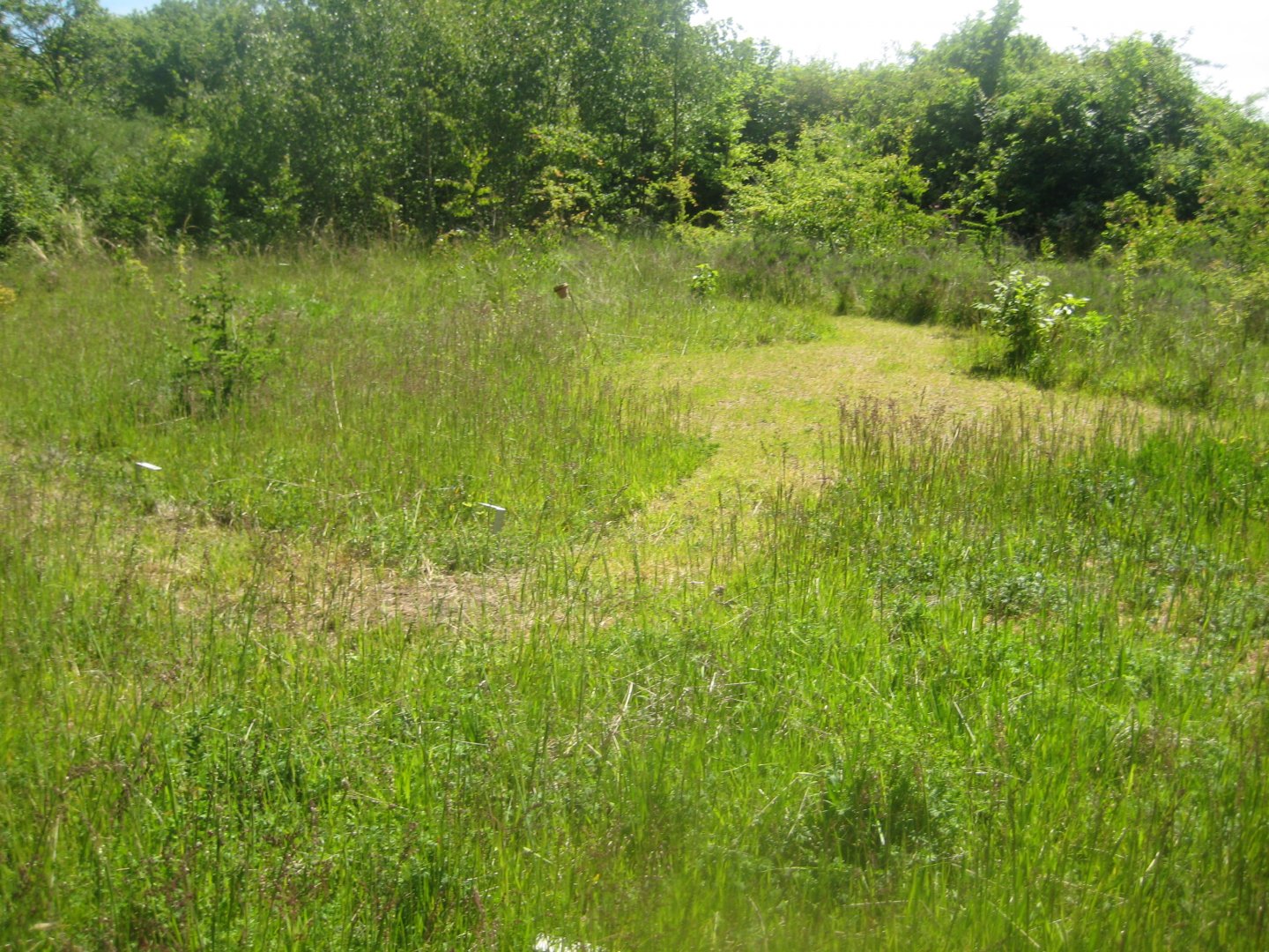 Økologiens Have - Landscape garden