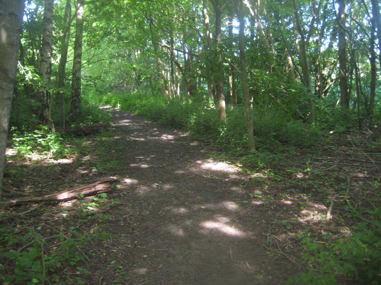 Økologiens Have - Nature trail