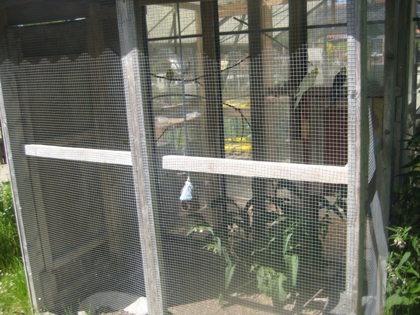 Økologiens Have - Parrot aviary (outdoor)