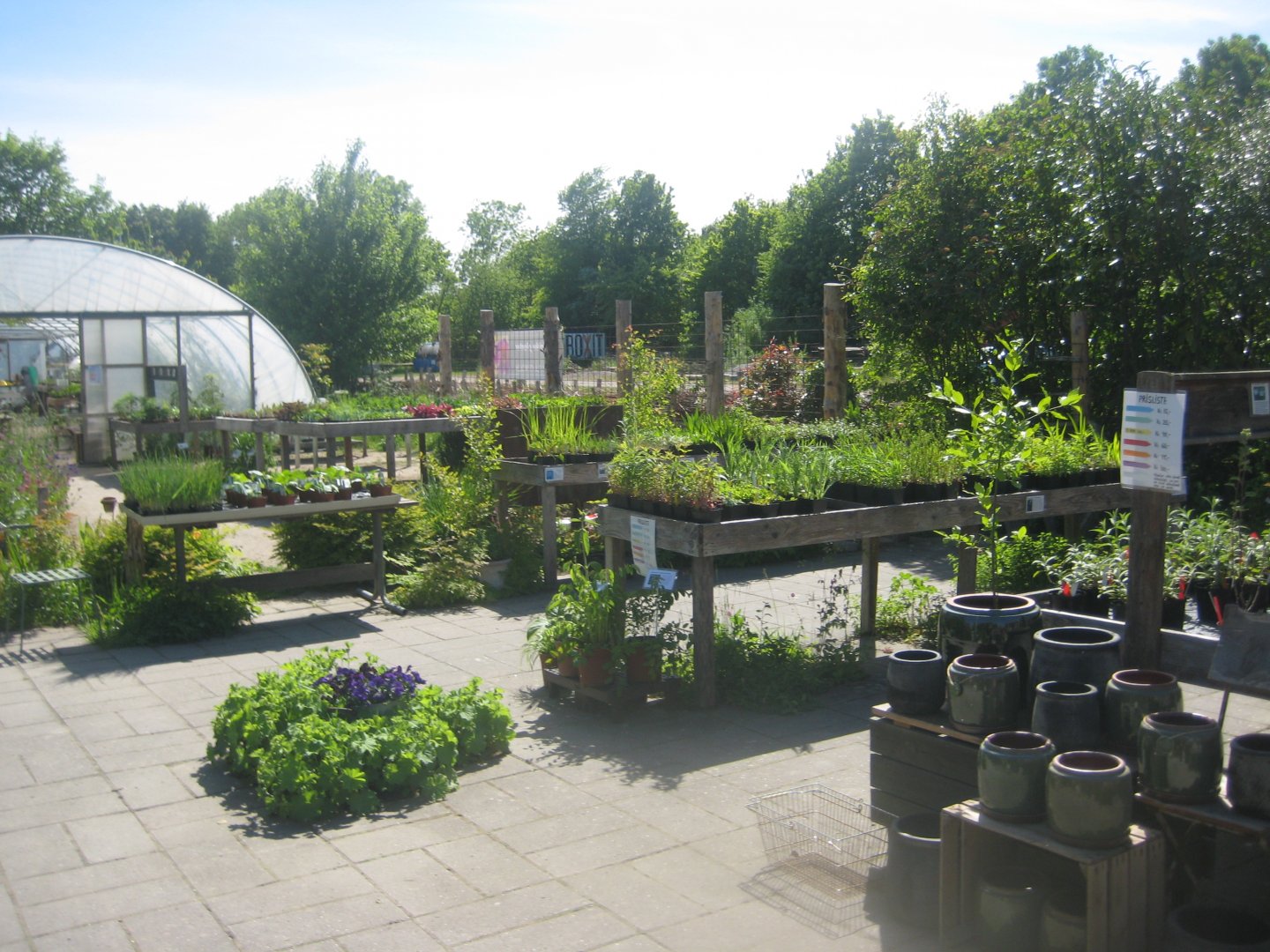 Økologiens Have - Plant sale