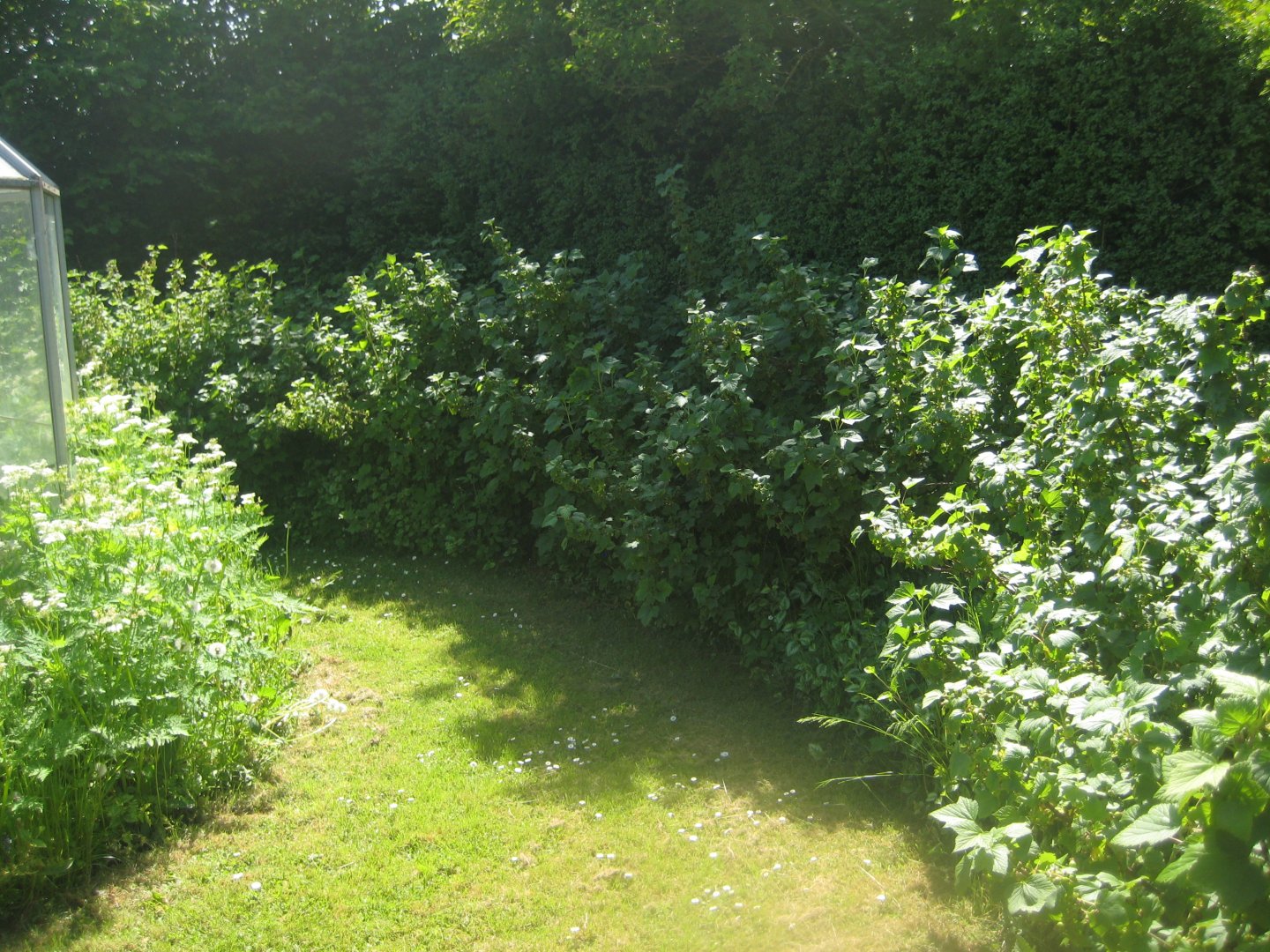 Økologiens Have - Suburban garden