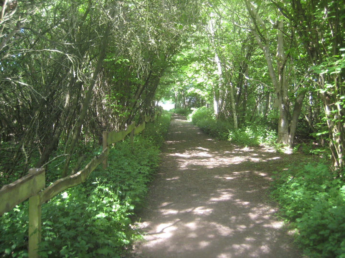 Økologiens Have - Walnut grove