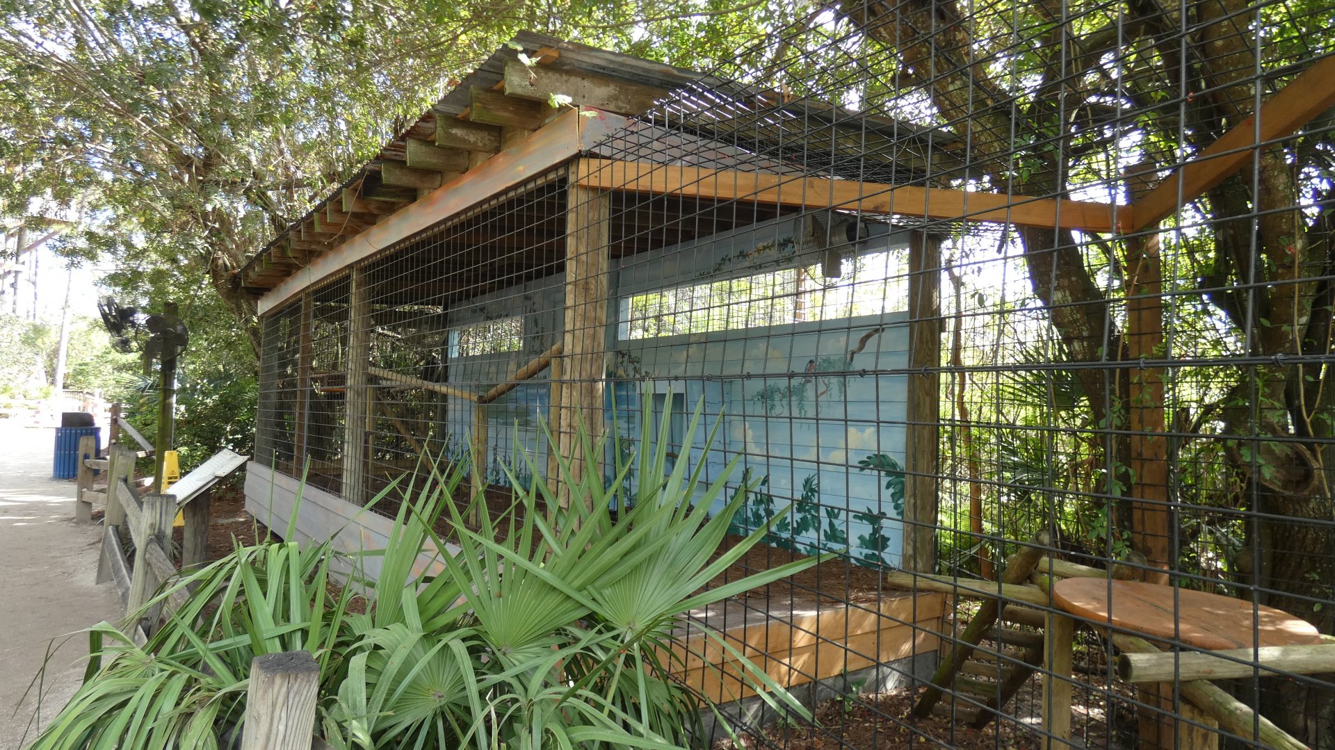 Ol' Owl House - Jan. 2022