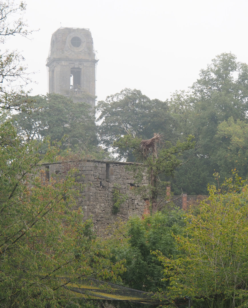 Old abbey tower and Saint Bernard tower seen from The Last Frontier, 2022-09-14