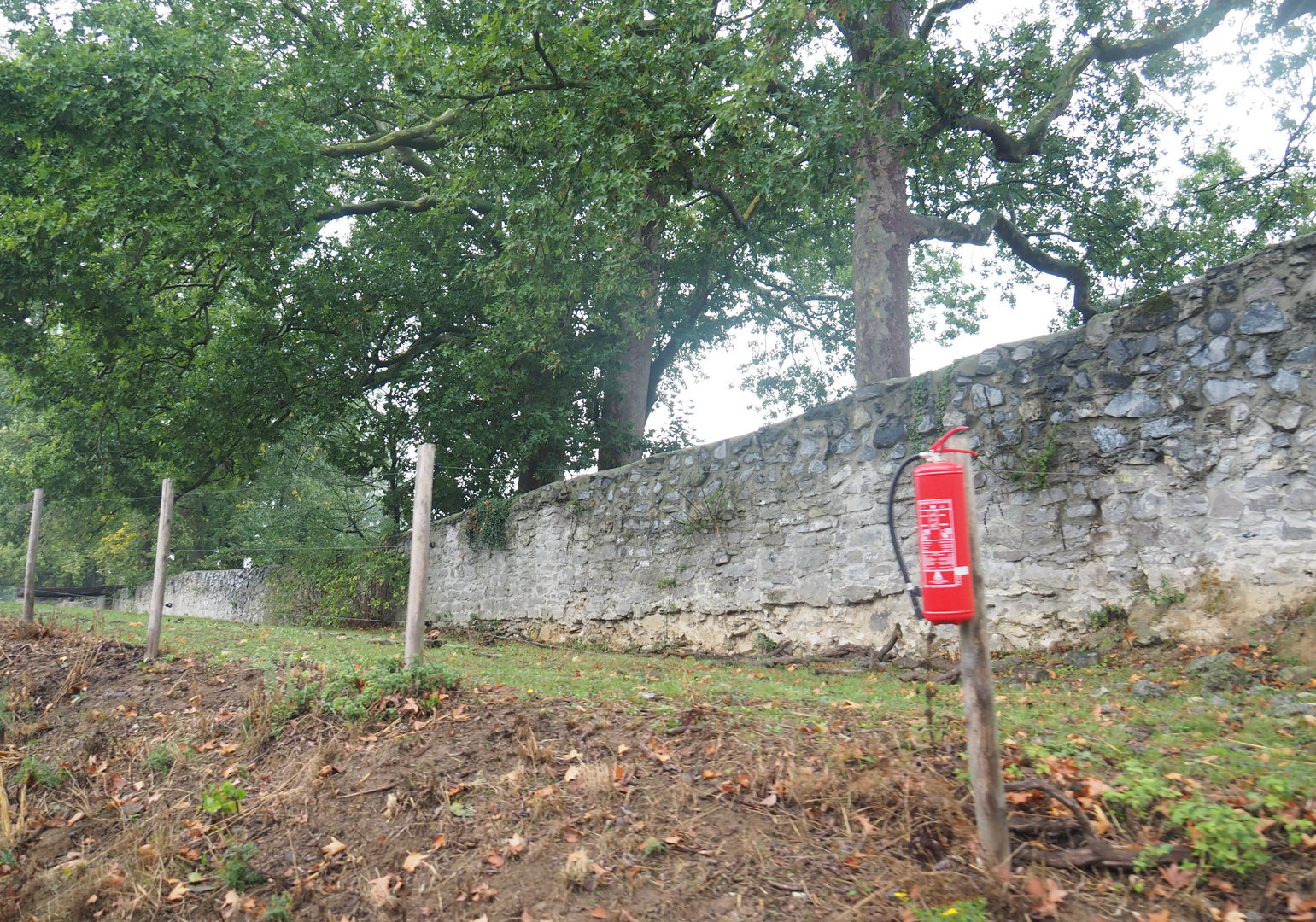 Old abbey wall and domestic donkey and alpaca paddock, seen from the train, 2022-09-14
