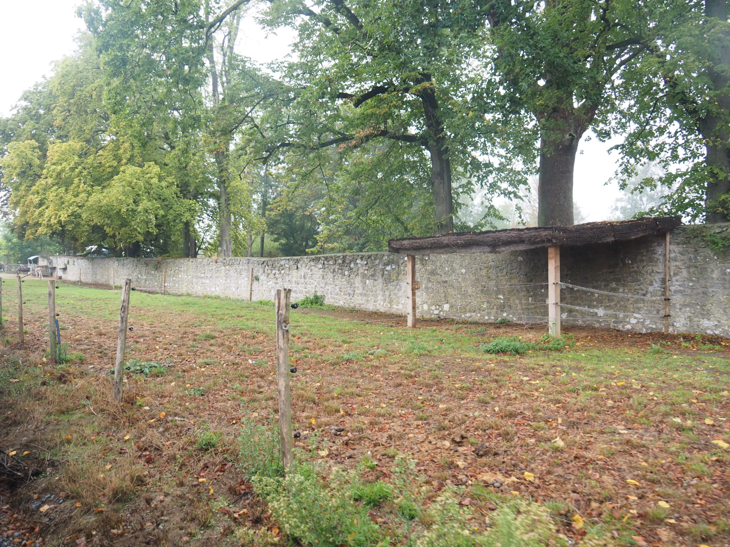 Old abbey wall and domestic donkey and alpaca paddock, seen from the train, 2022-09-14