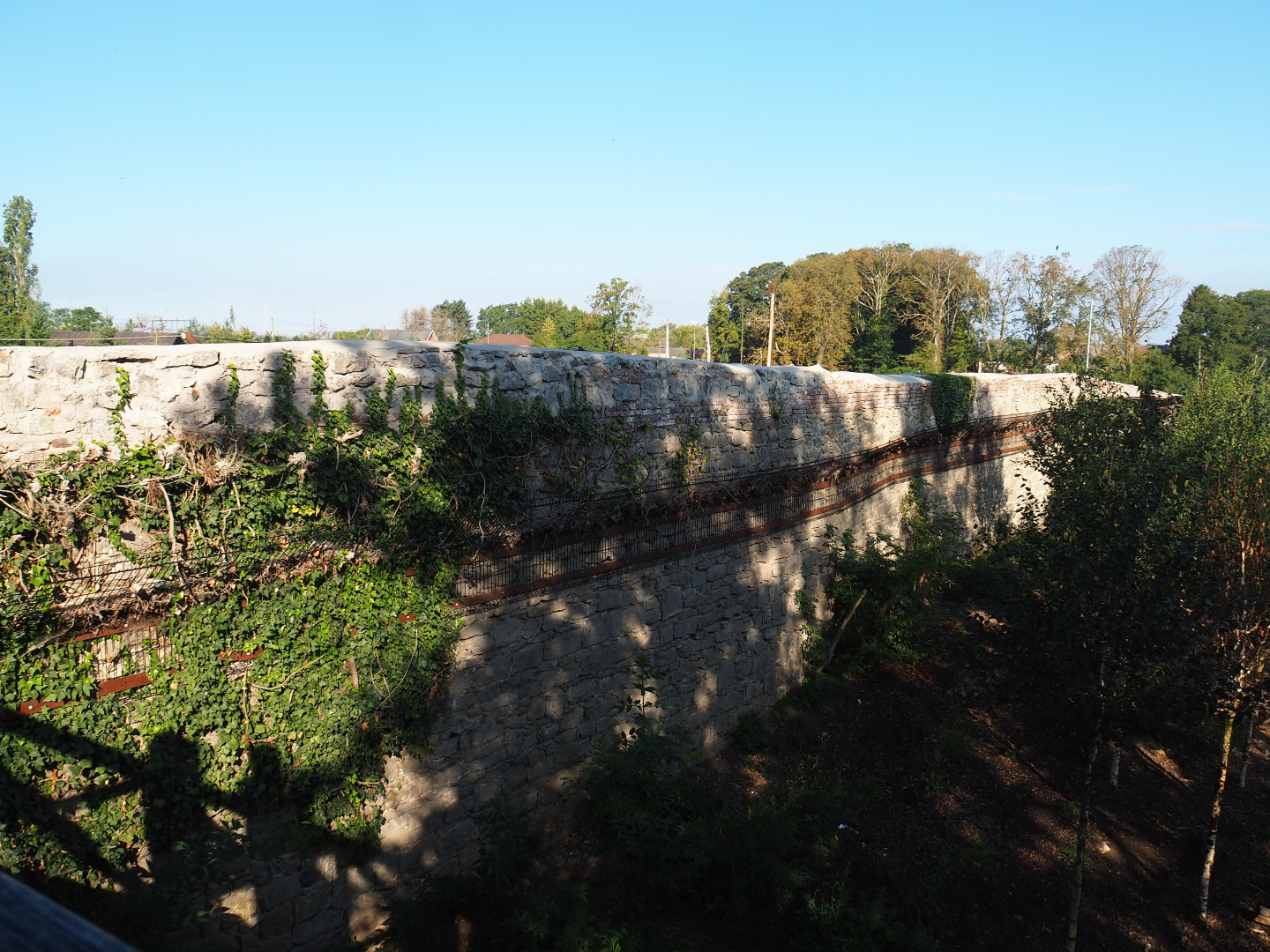 Old abbey wall used as back wall of the Mackenzie Valley wolf exhibit, 2020-09-02