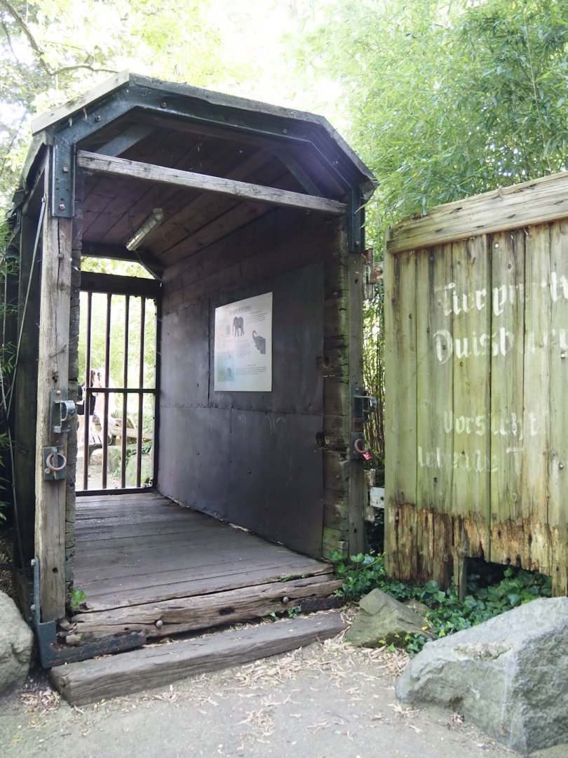 Old African elephant crate with educational signage, 2024-06-08