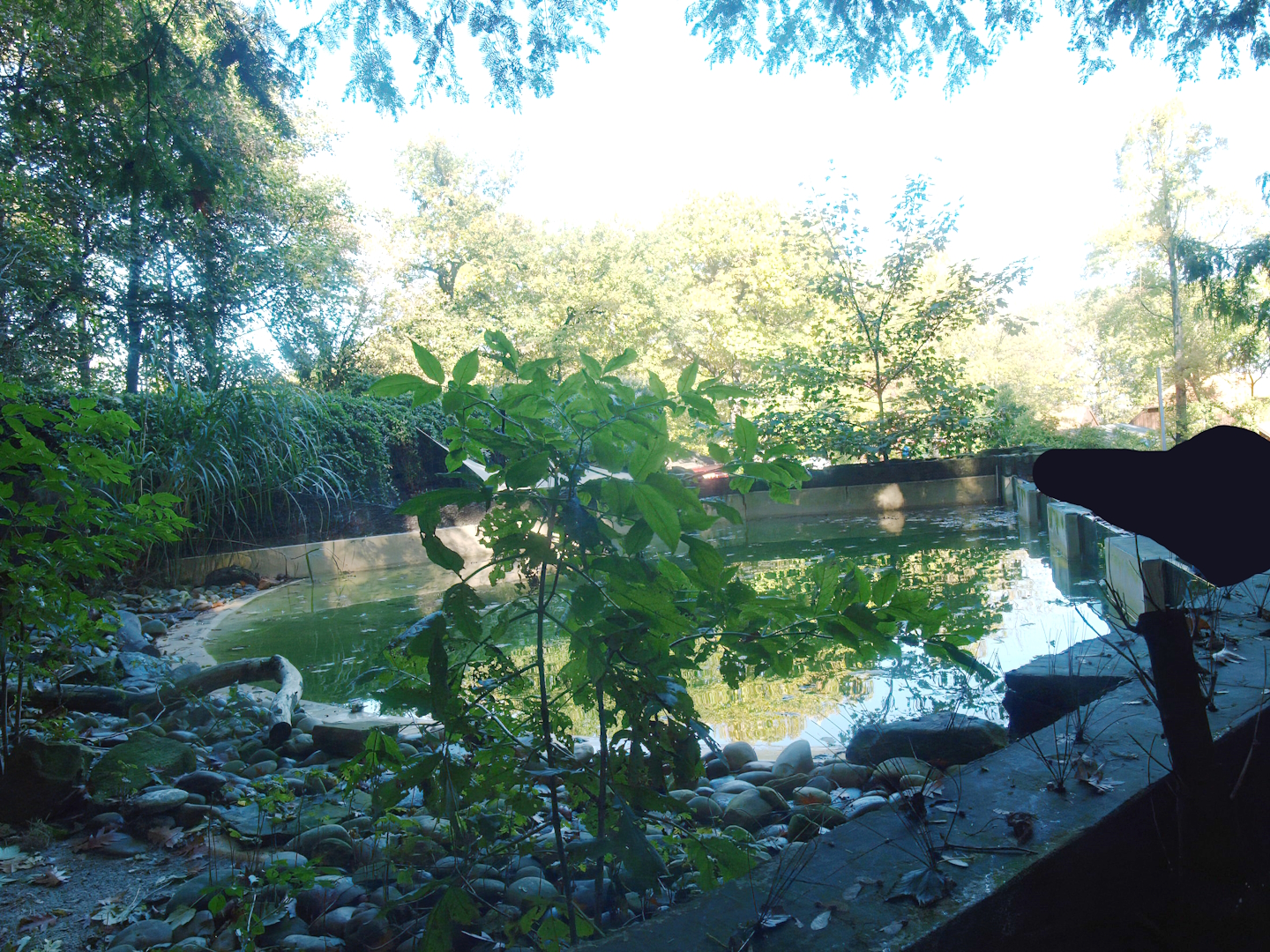 Old African penguin exhibit (Now gone, recently replaced by a new exhibit), 2014-10-19