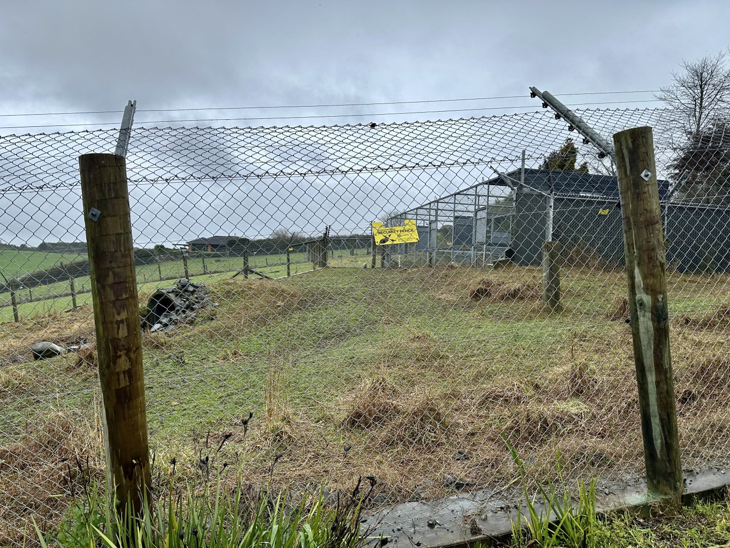 Old African Wild Dog Exhibit