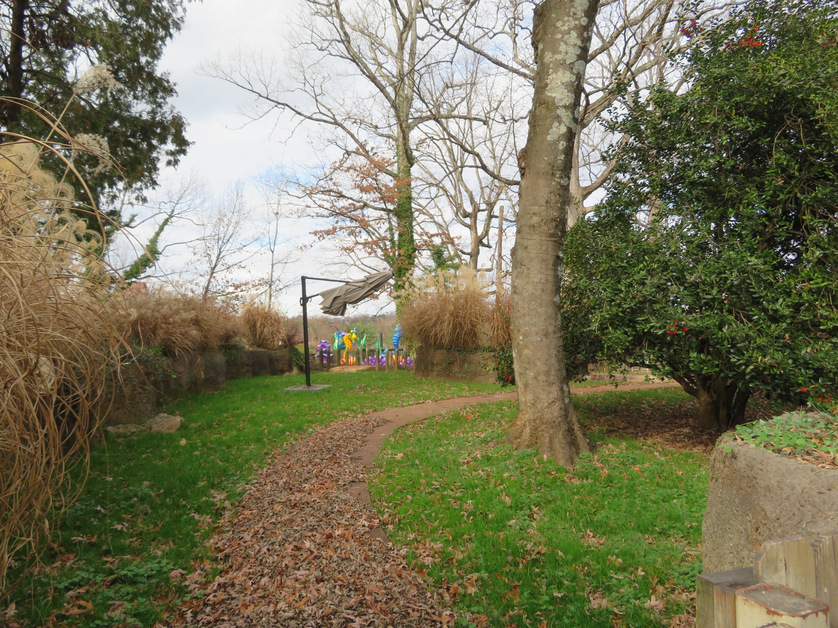Old Aldabra Tortoise Yard