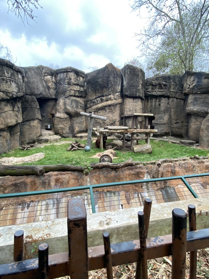 Old American Black Bear Enclosure