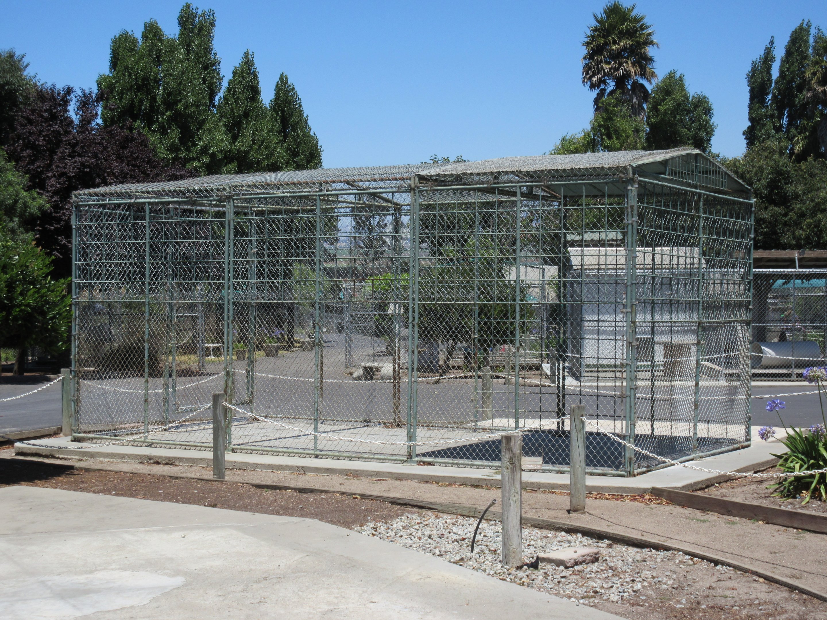 Old American Black Bear Exhibit (soon to be demolished)