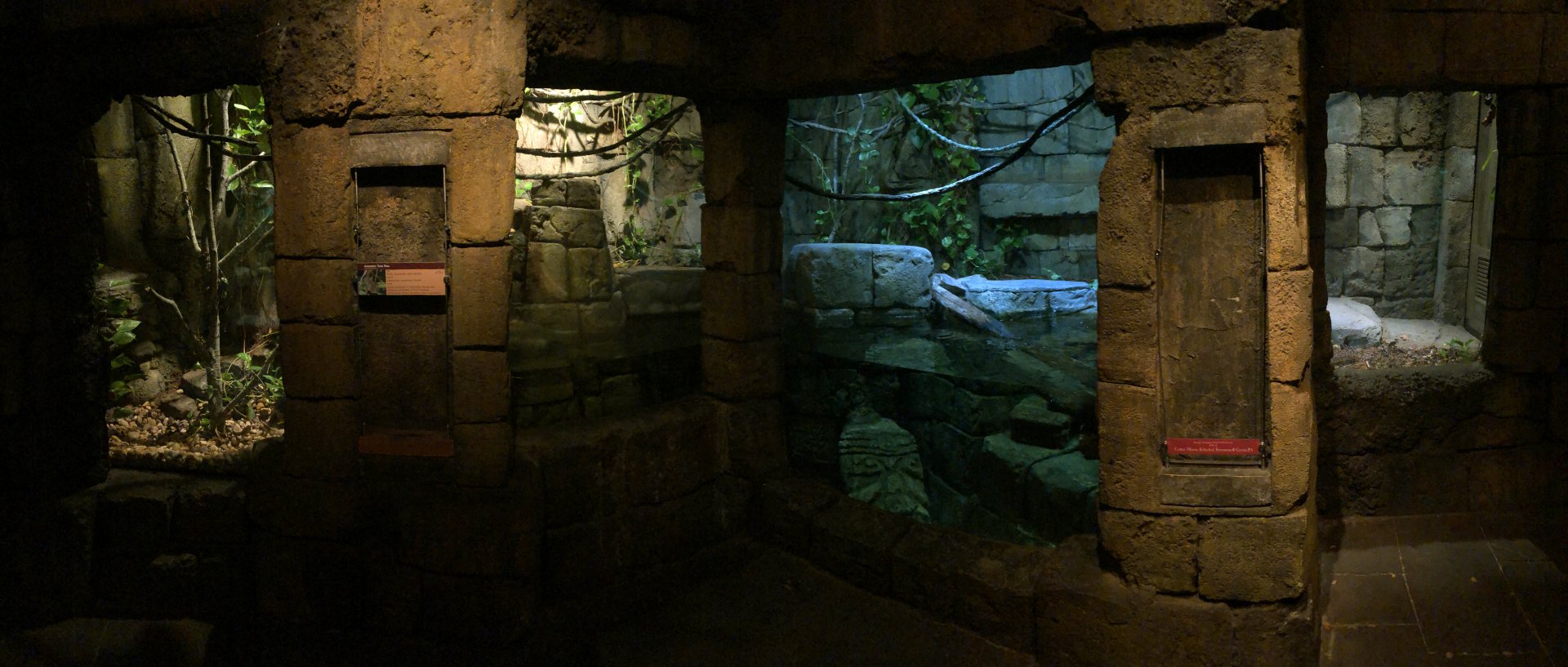 Old Anaconda Exhibit