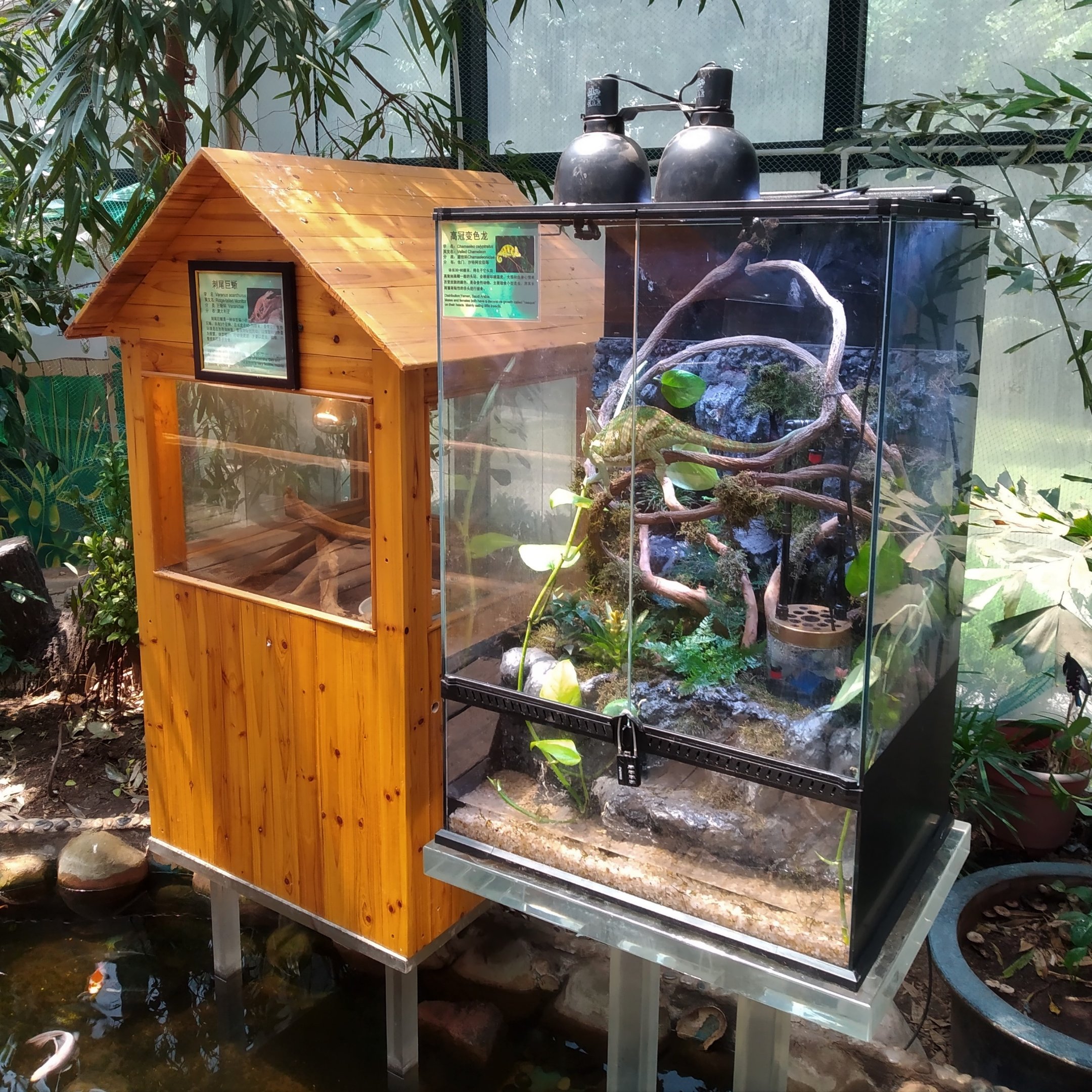 Old And New Terraria