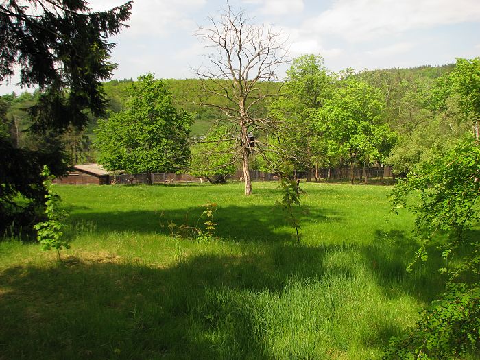 Old antelope enclosure