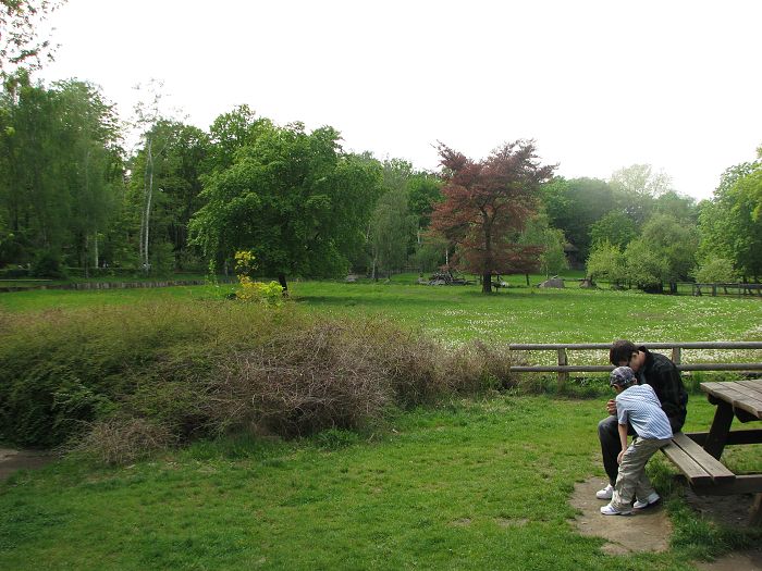 Old antelope enclosure