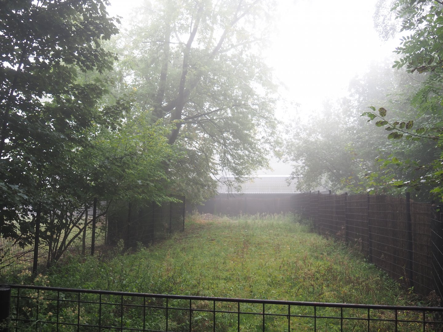 Old antelope separation paddock - Normally off-show, 2021-10-10