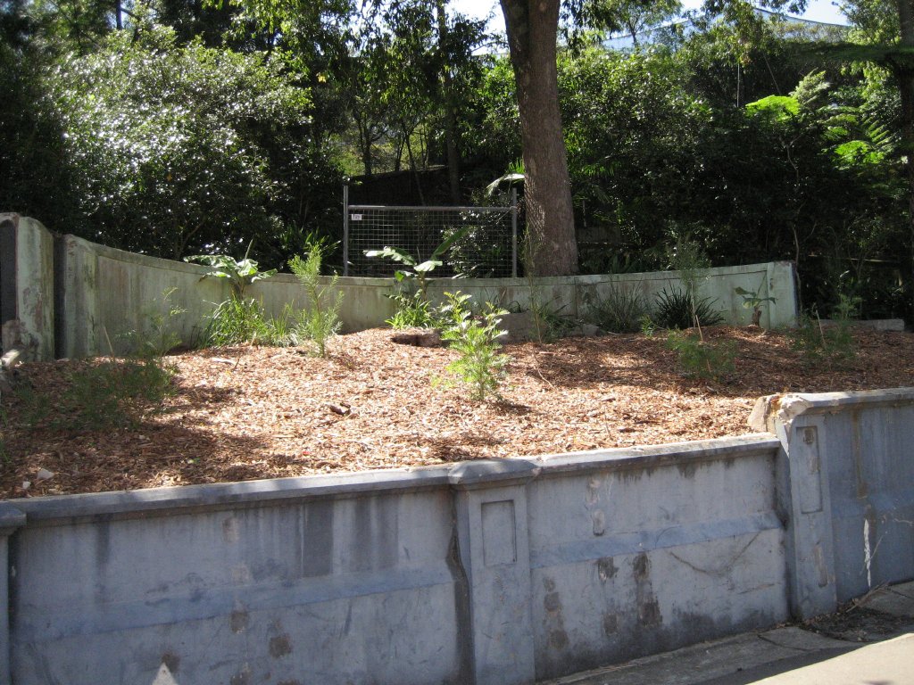 Old Aviary opposite new elephant facility