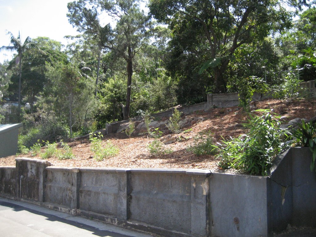 Old Aviary opposite new elephant facility