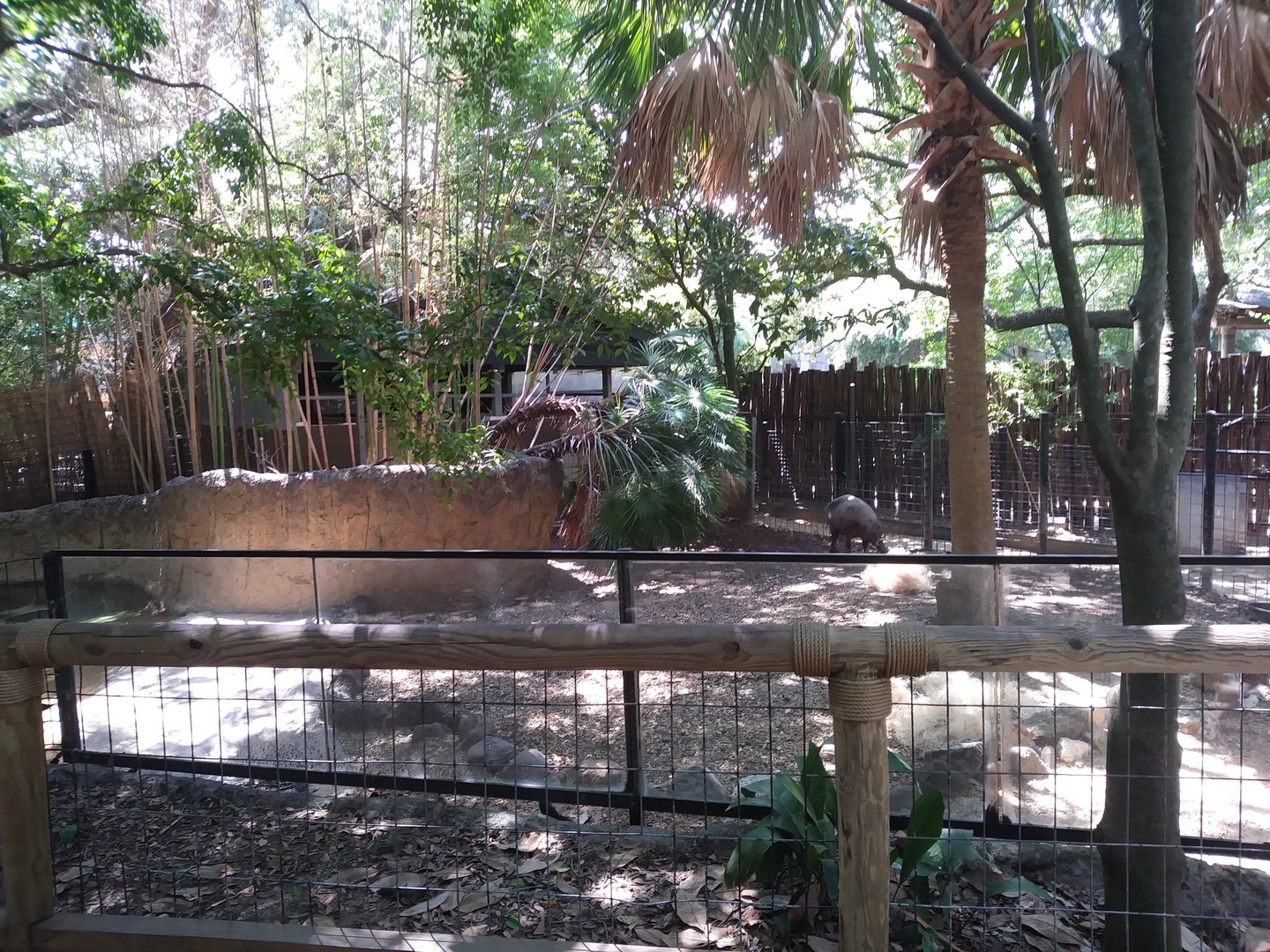 Old Babirusa Enclosure