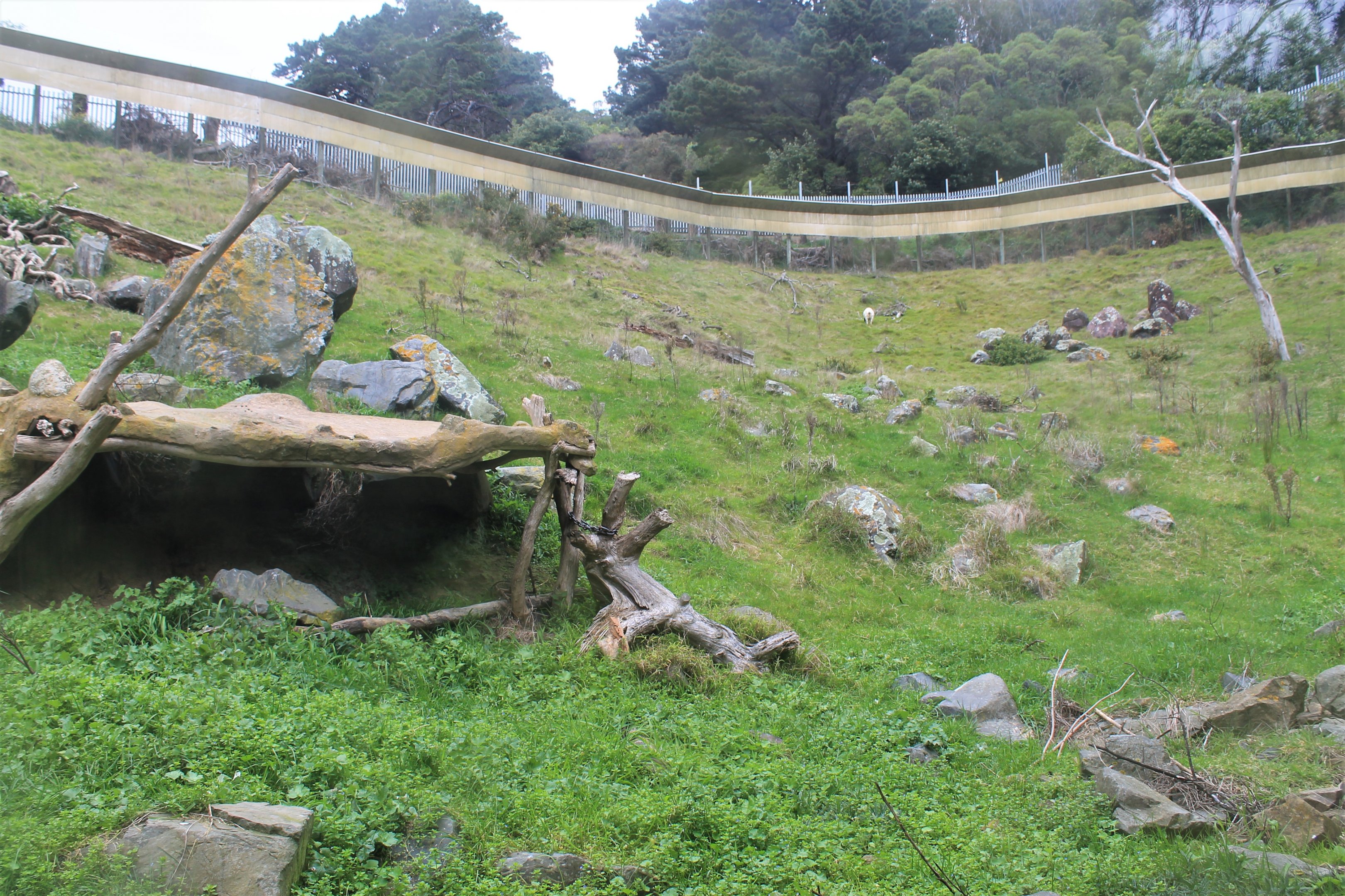 old baboon enclosure