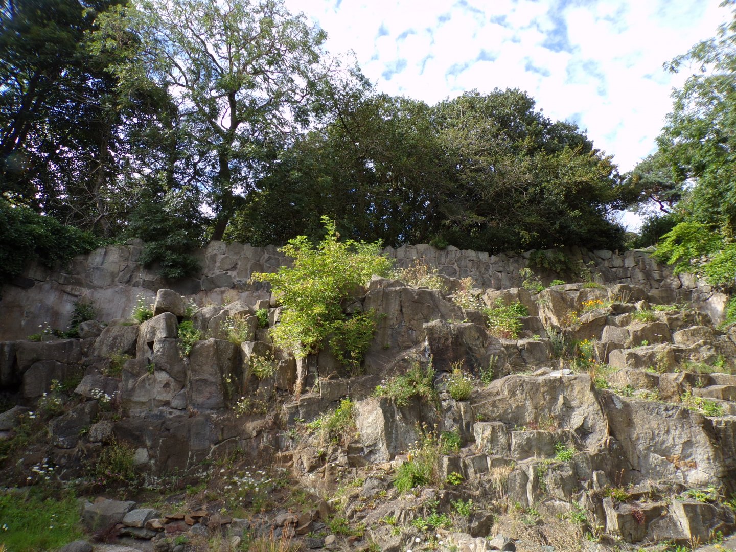 Old barbary rock 14.8.23