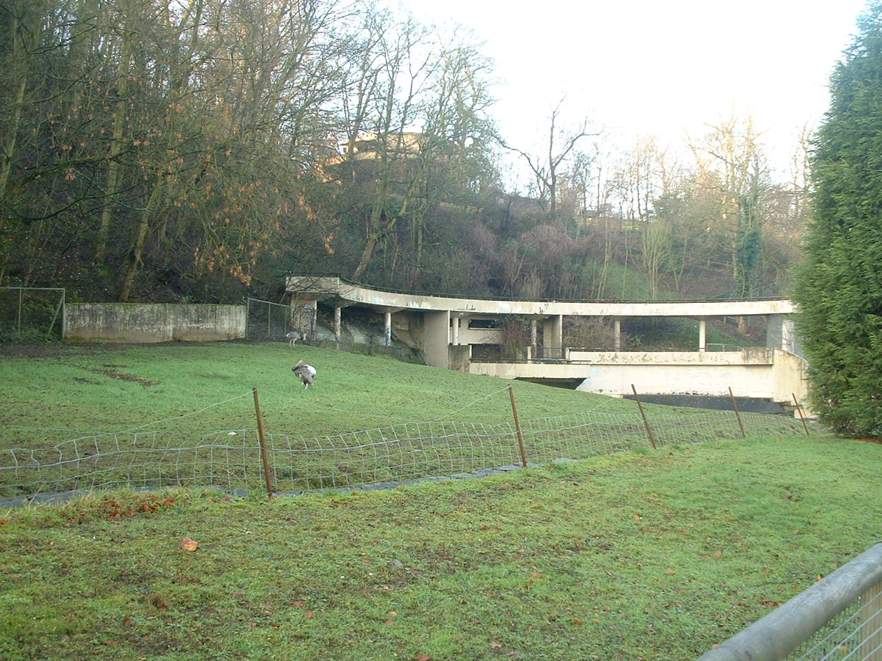 Old Bear Ravine - Dudley Zoo 2006