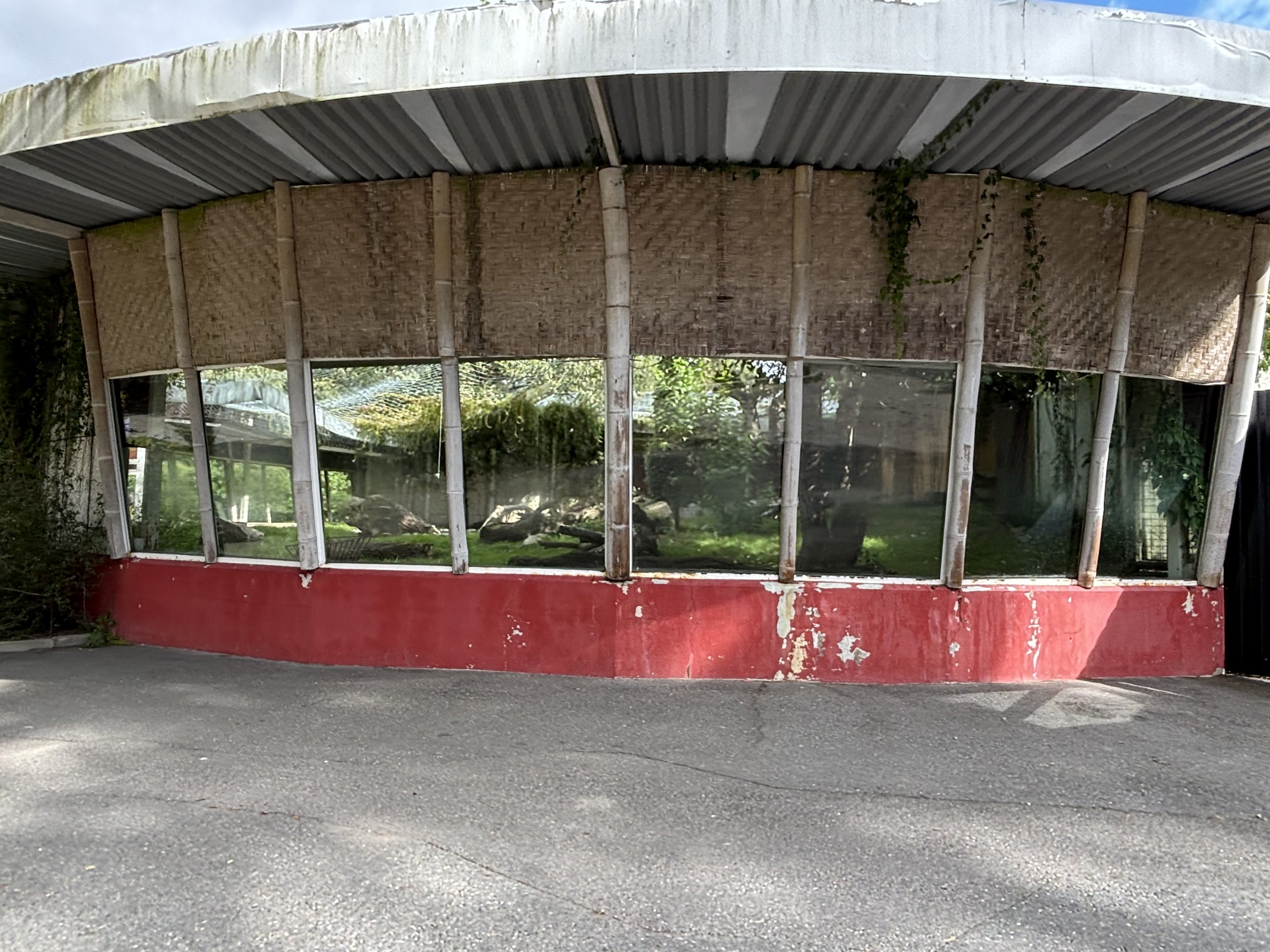 Old bigcat exhibith, not housing rabbits…