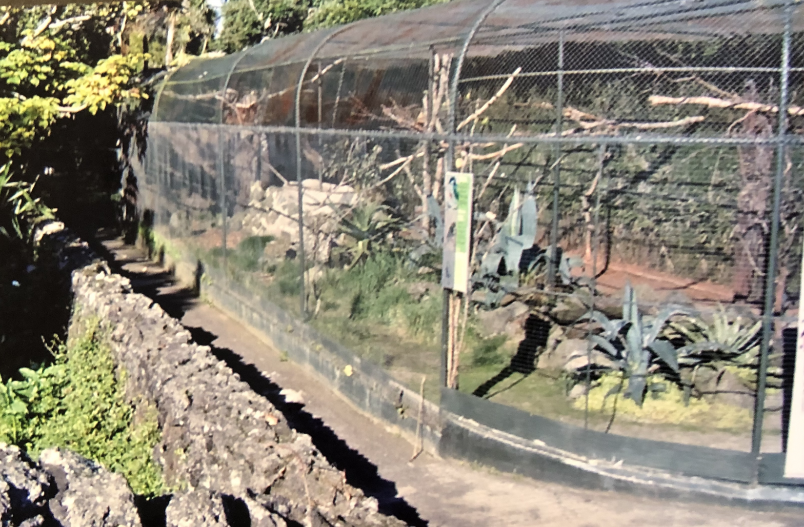 Old bird cage by the river.