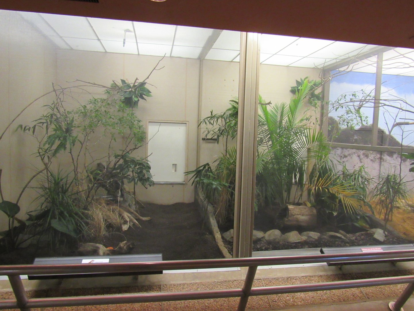 Old Bird House- Aviary 1