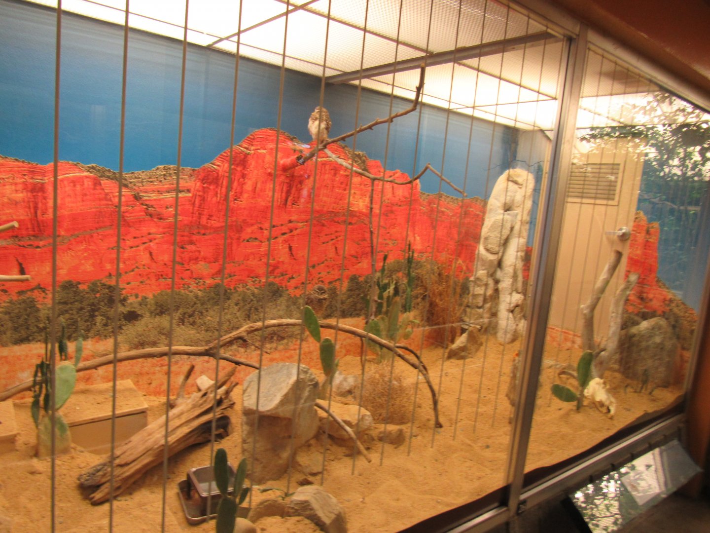 Old Bird House- Aviary 11