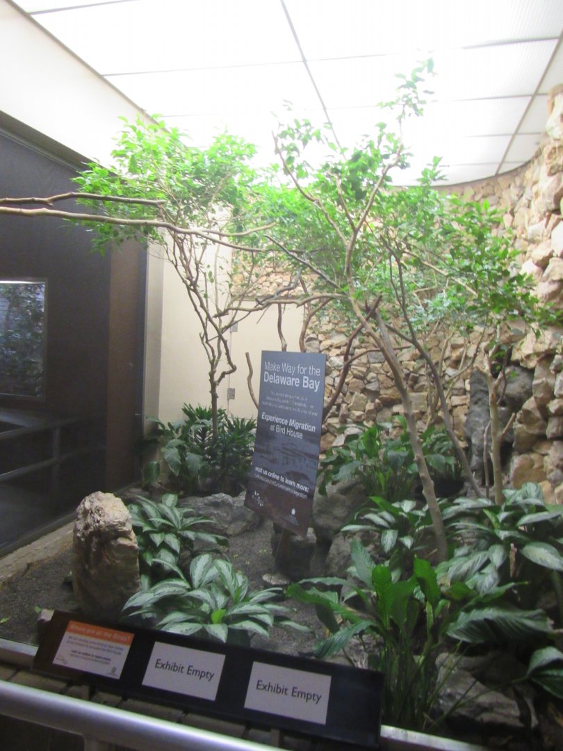 Old Bird House- Aviary 13