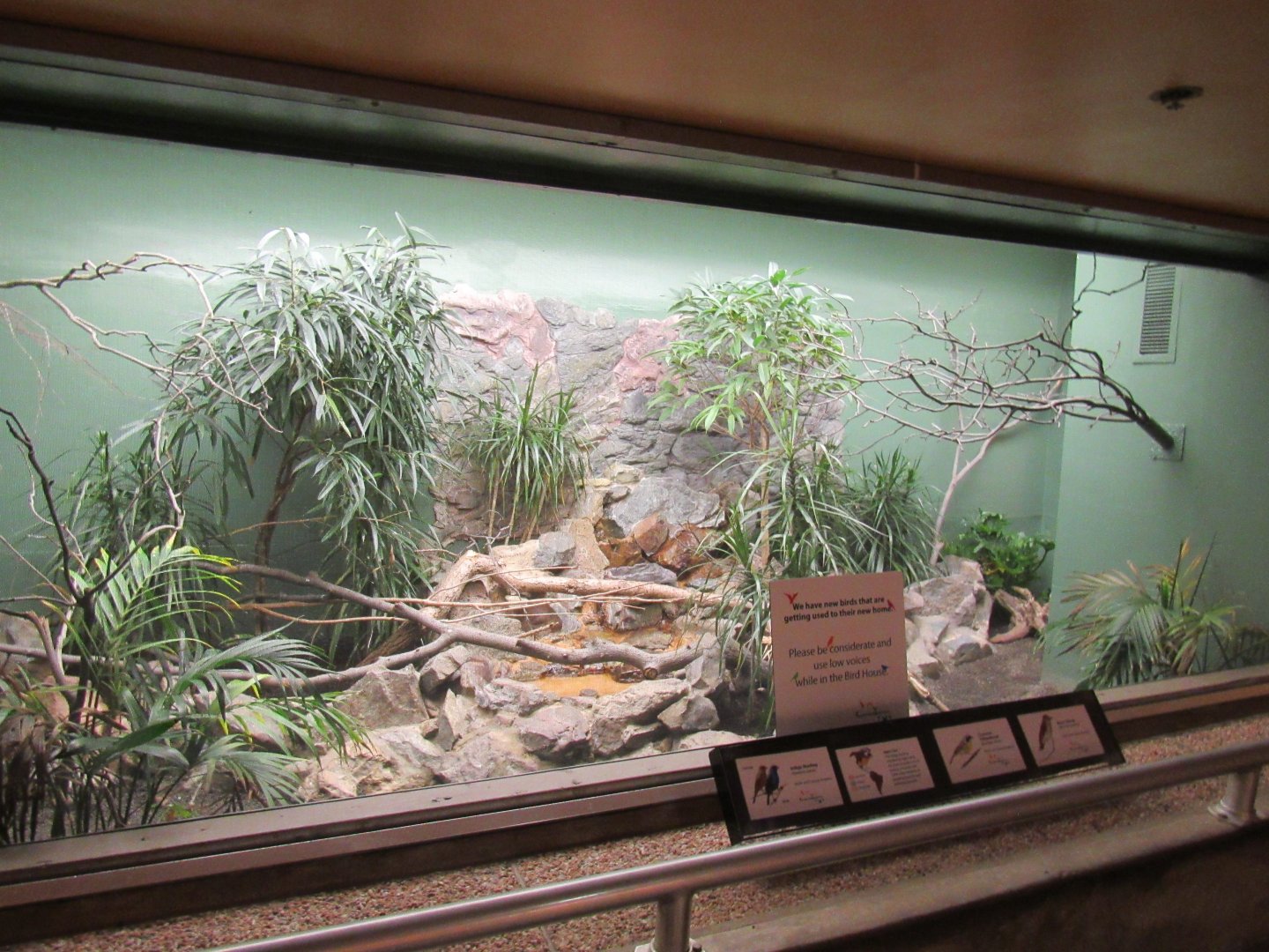 Old Bird House- Aviary 15