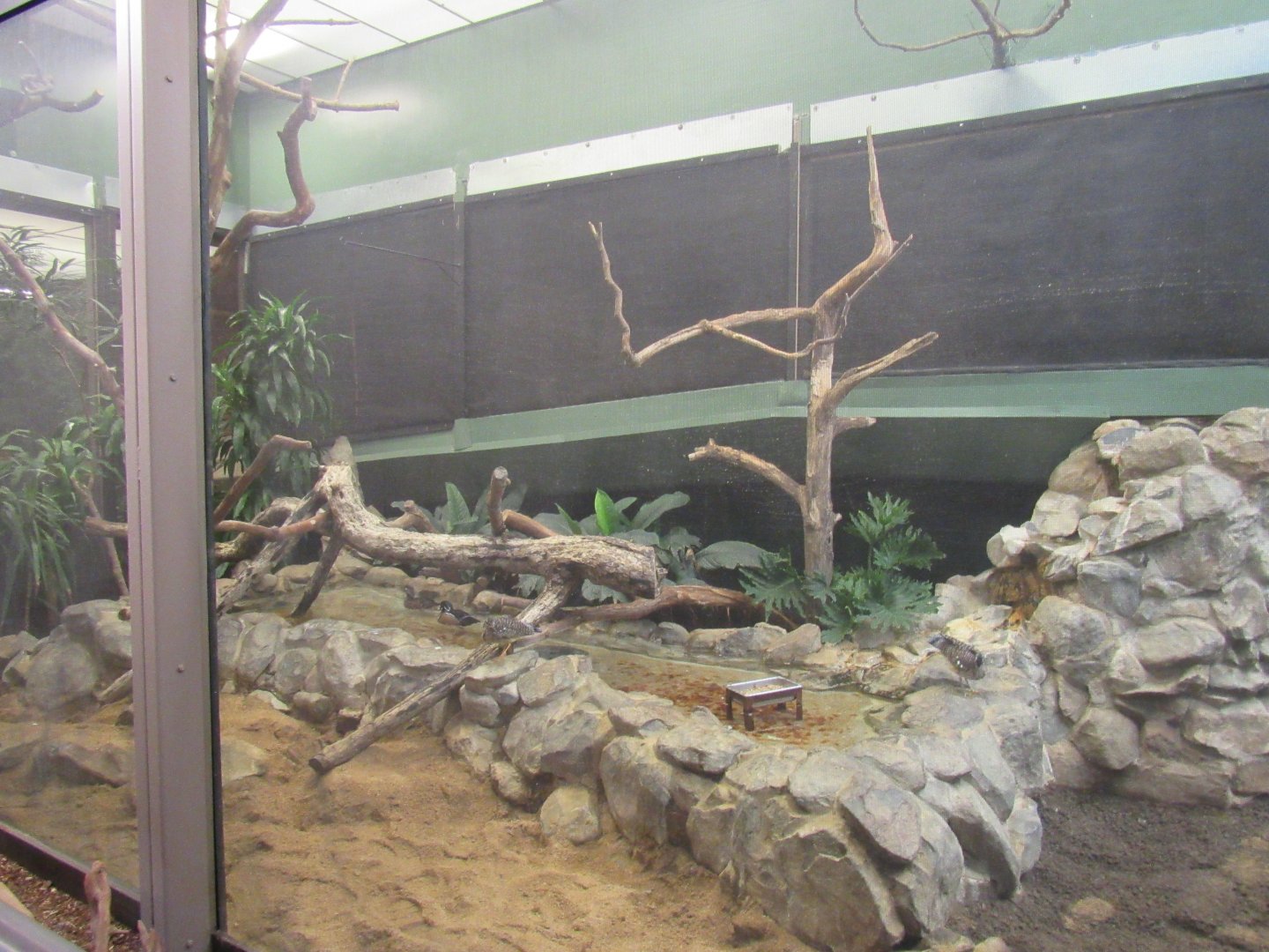 Old Bird House- Aviary 17