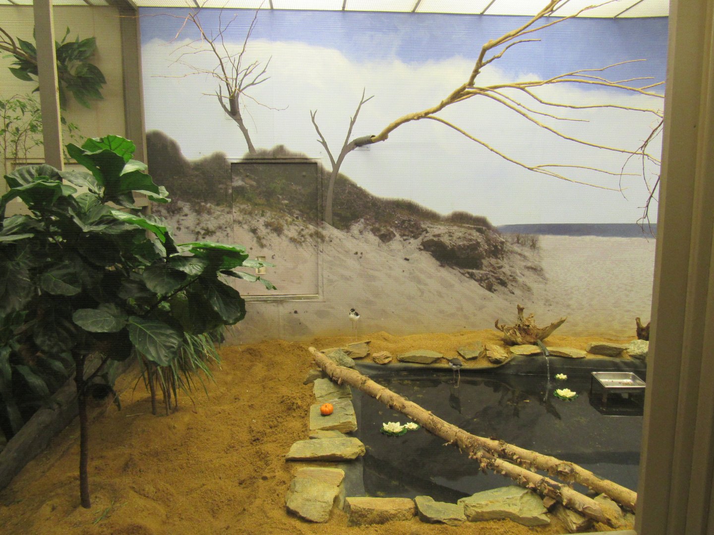 Old Bird House- Aviary 2