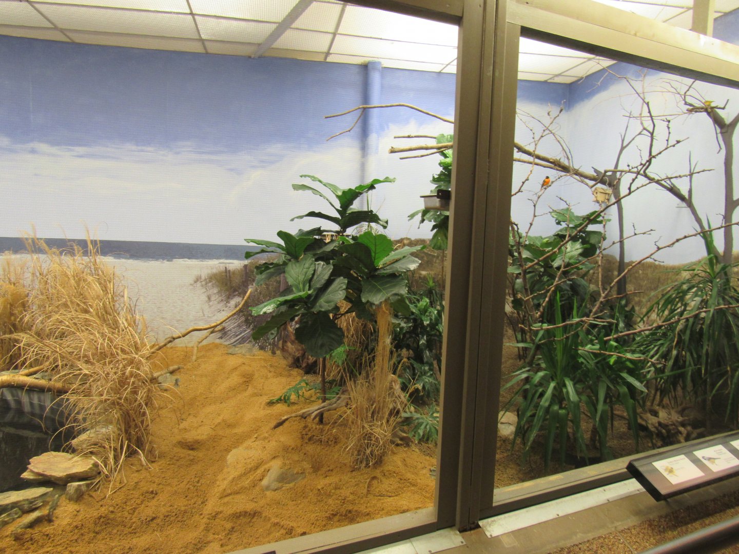 Old Bird House- Aviary 2