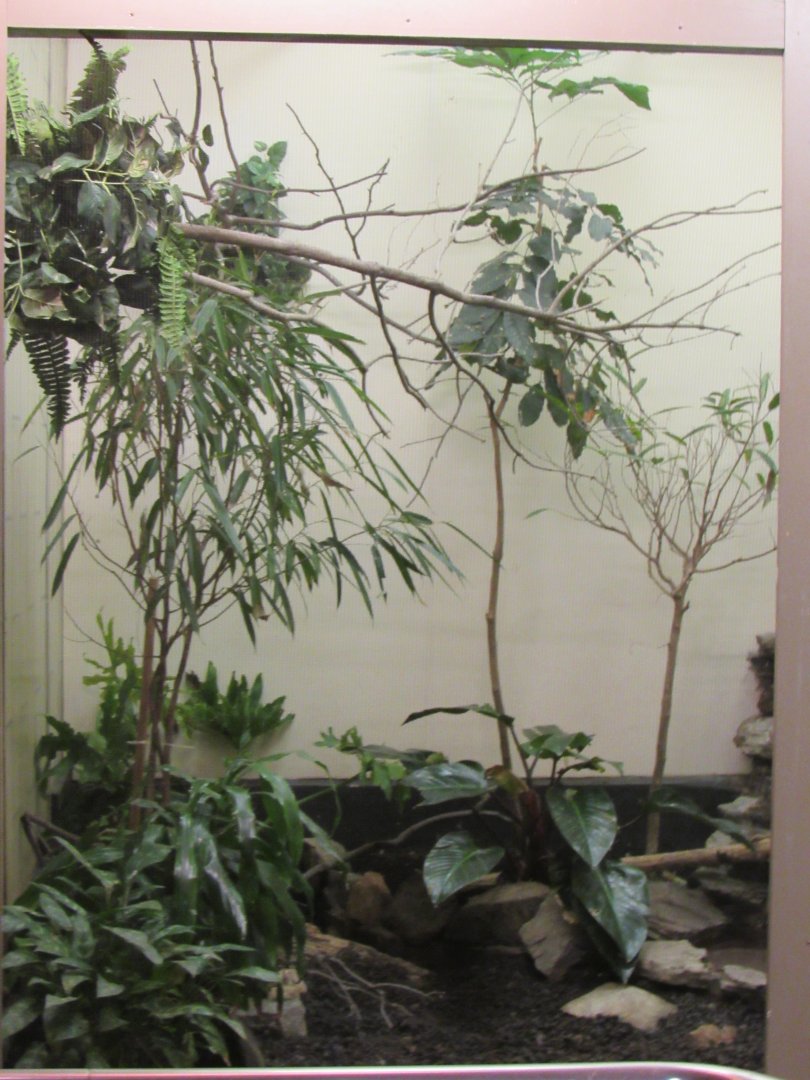 Old Bird House- Aviary 6