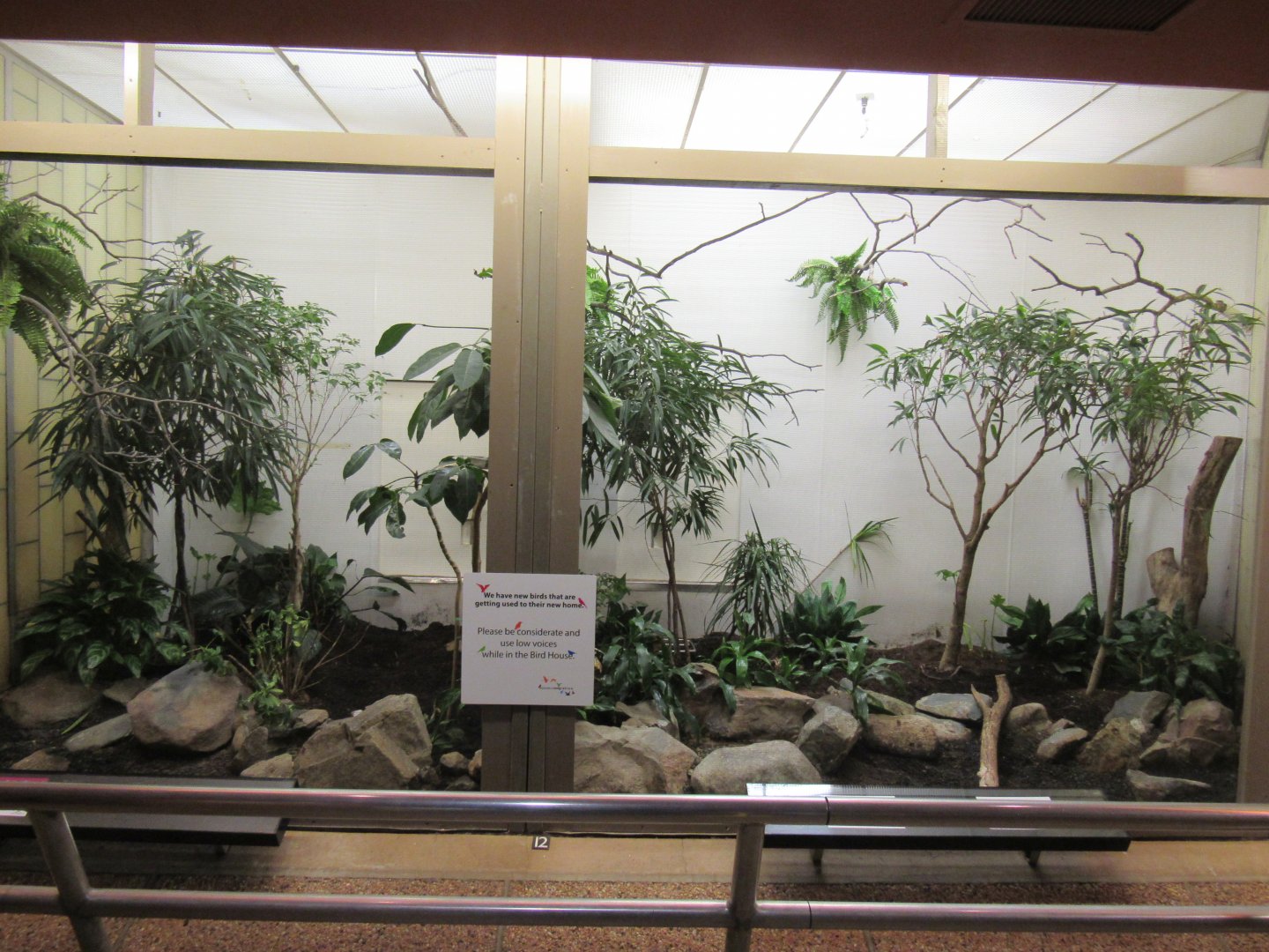 Old Bird House- Aviary 7